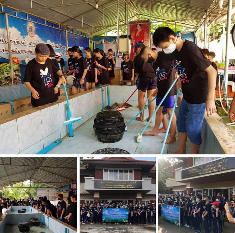 เรียนรู้รักษ์เต่าทะเลอย่างใกล้ชิด เพื่ออนุรักษ์พันธุ์เต่าทะเลสงขลา