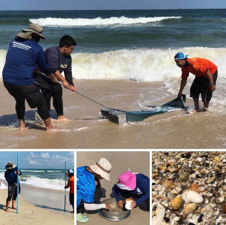 ประเมินสถานภาพความหลากหลายหาดม่วงงาม สงขลา