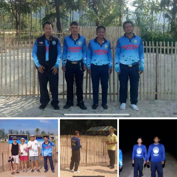 ธรรมชาติสมบูรณ์ แม่เต่ามะเฟืองพาเหรดชวนกันขึ้นวางไข่