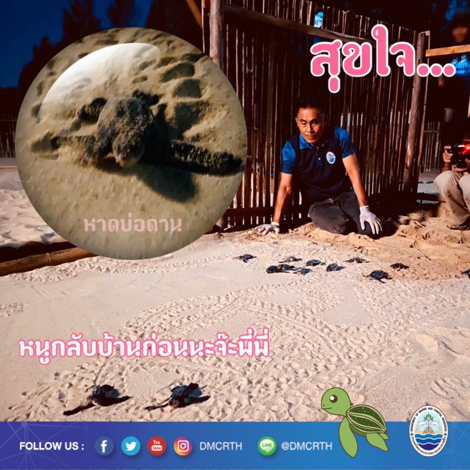 สวัสดี พี่น้องเครือข่ายอนุรักษ์ทะเลไทย