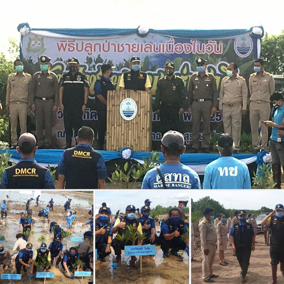 วันป่าชายเลนแห่งชาติ มาช่วยกันปลูกเสริมป่า สุราษฎร์ธานี