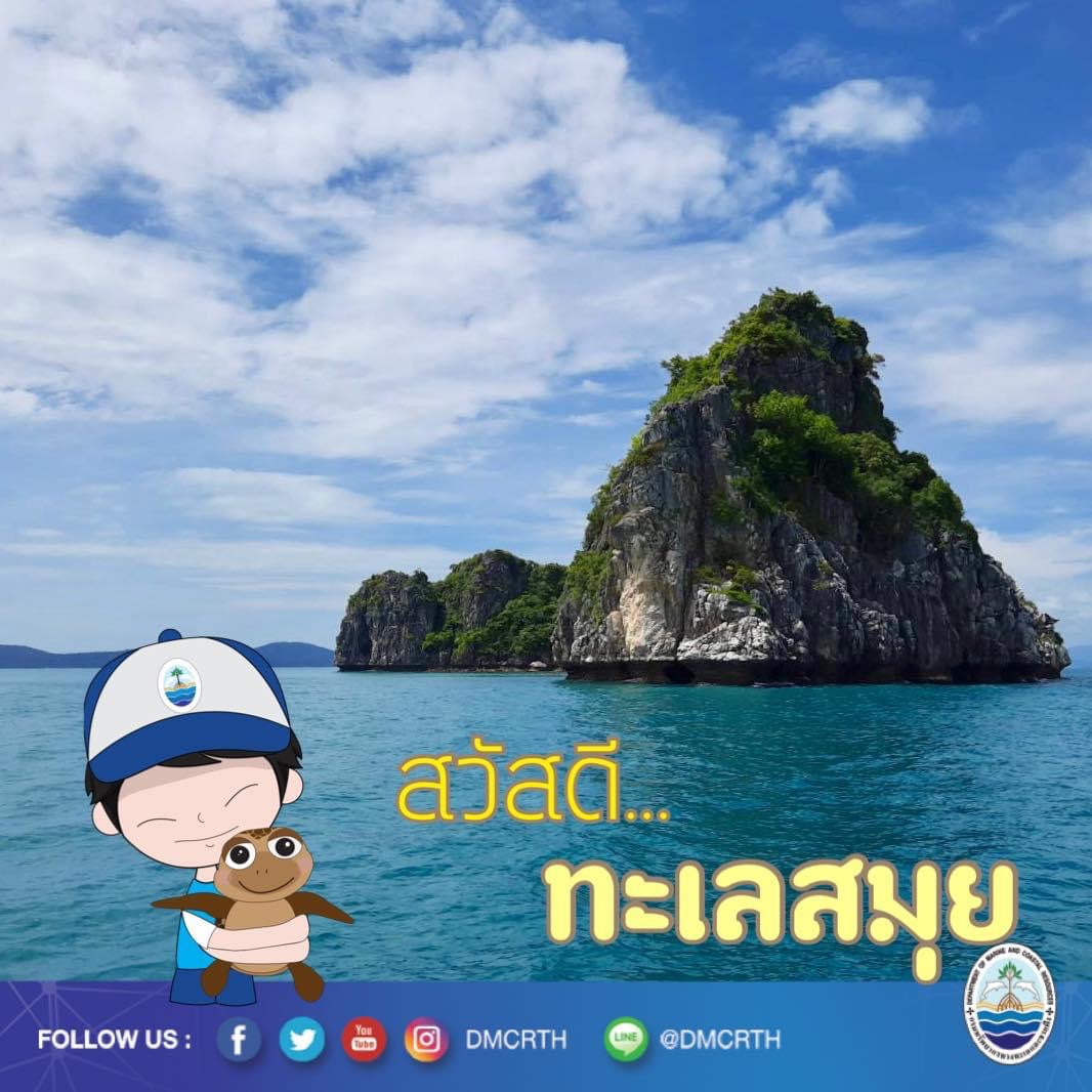 สวัสดี พี่น้องเครือข่ายอนุรักษ์ทะเลไทย