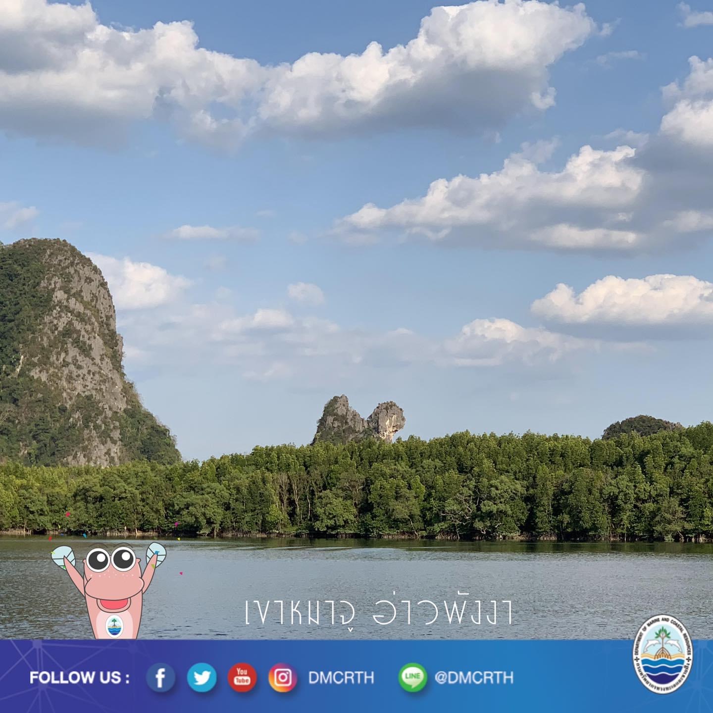 สวัสดี พี่น้องเครือข่ายอนุรักษ์ทะเลไทย