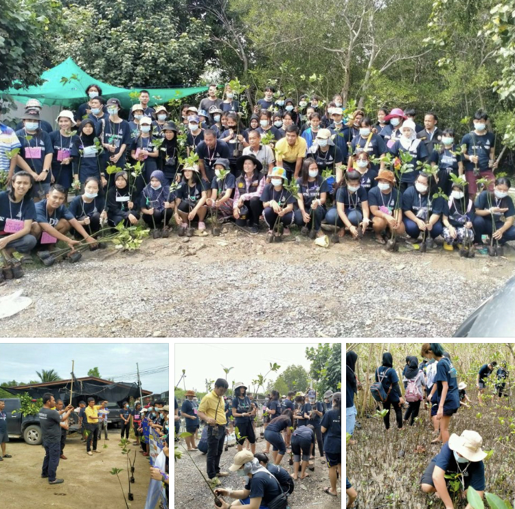ชาวกาญจนดิษฐ์รักพ่อหลวง จัดปลูกป่าชายเลนรำลึก