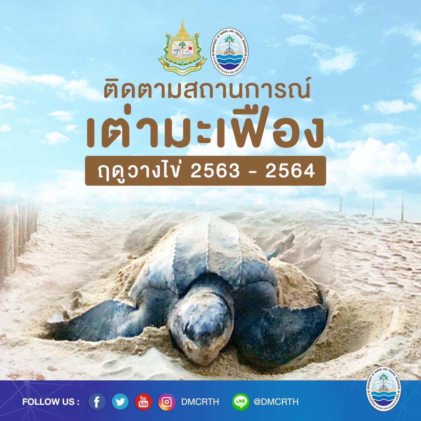 สวัสดี พี่น้องเครือข่ายอนุรักษ์ทะเลไทย