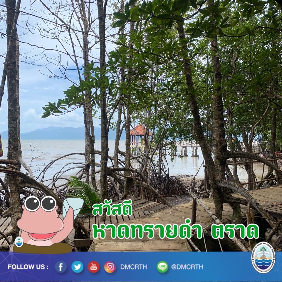 สวัสดี พี่น้องเครือข่ายอนุรักษ์ทะเลไทย