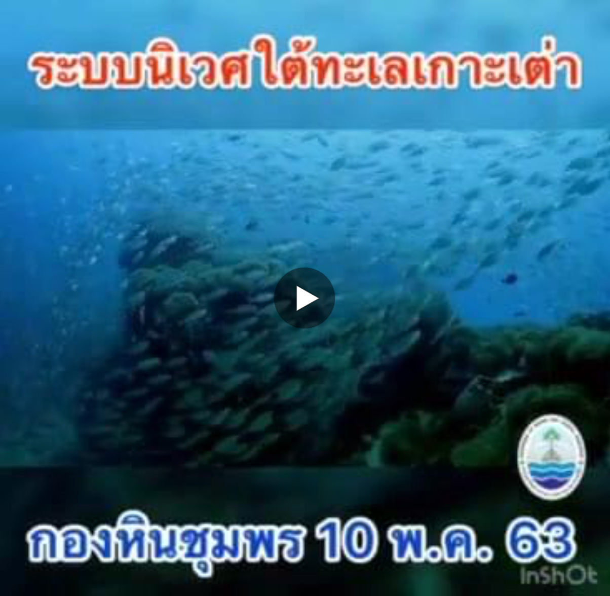 มาดูของดีใต้ทะเลเกาะเต่า ระบบนิเวศยังสมบูรณ์ดี
