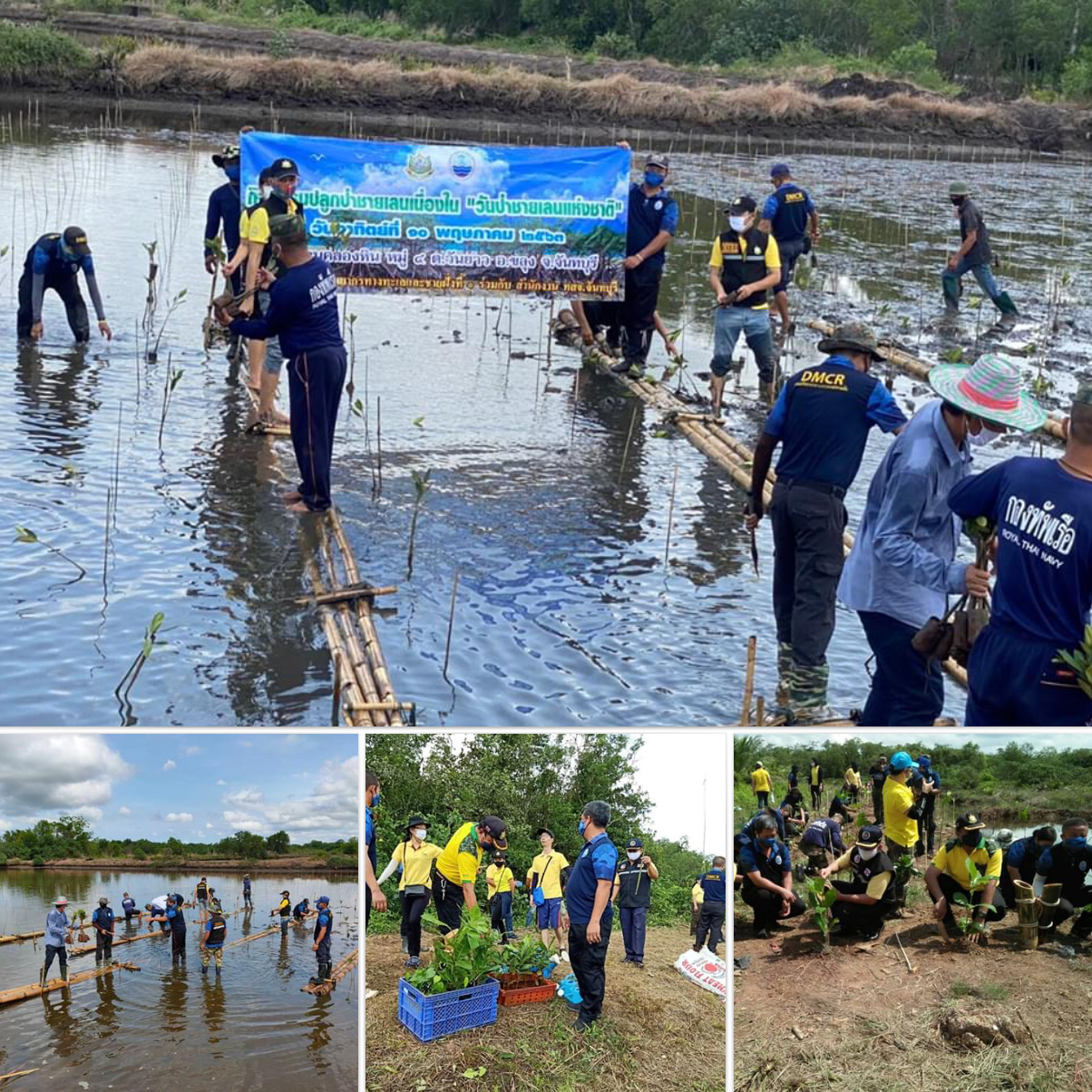 ร่วมสืบสานพระราชปณิธาน ฟื้นฟูป่าชายเลนฝั่งตะวันออก