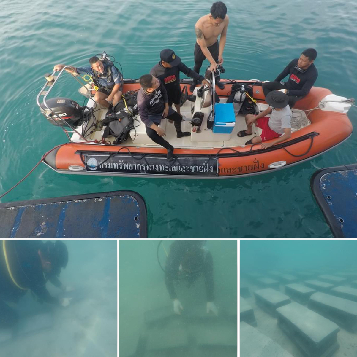 ฟื้นฟูปะการังและหญ้าทะเลเกาะหมากต่อเนื่อง ตราด