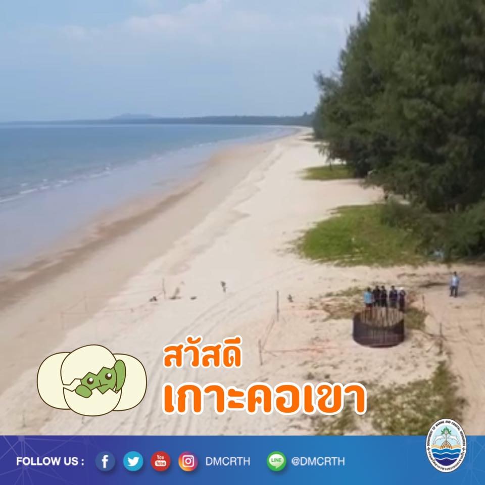 สวัสดี พี่น้องเครือข่ายอนุรักษ์ทะเลไทย