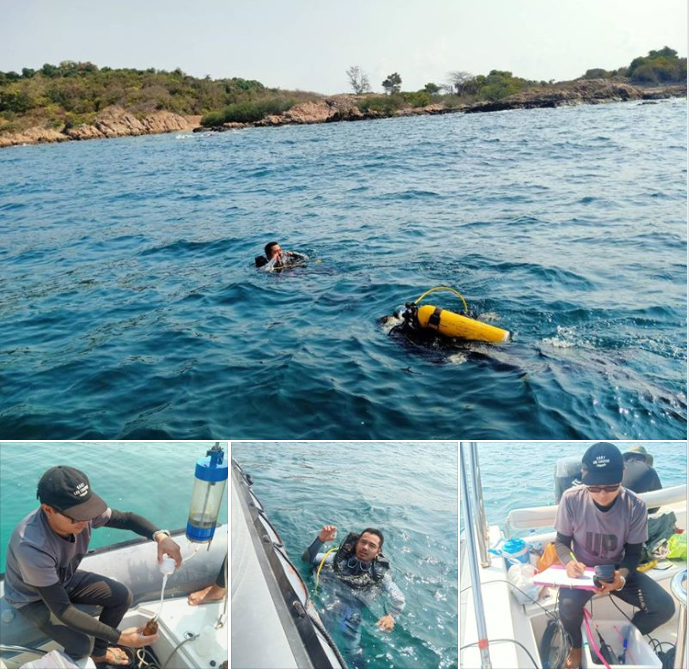 คุณภาพน้ำทะเลเกาะมันใน มีคุณภาพดีตามเกณฑ์
