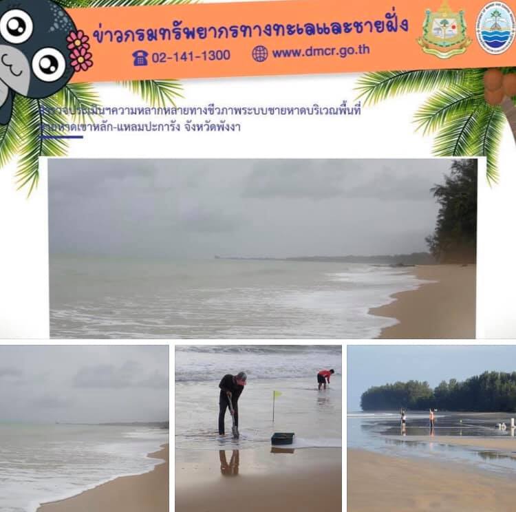 ศึกษาความหลากหลายในพื้นที่เขาหลัก/แหลมปะการัง