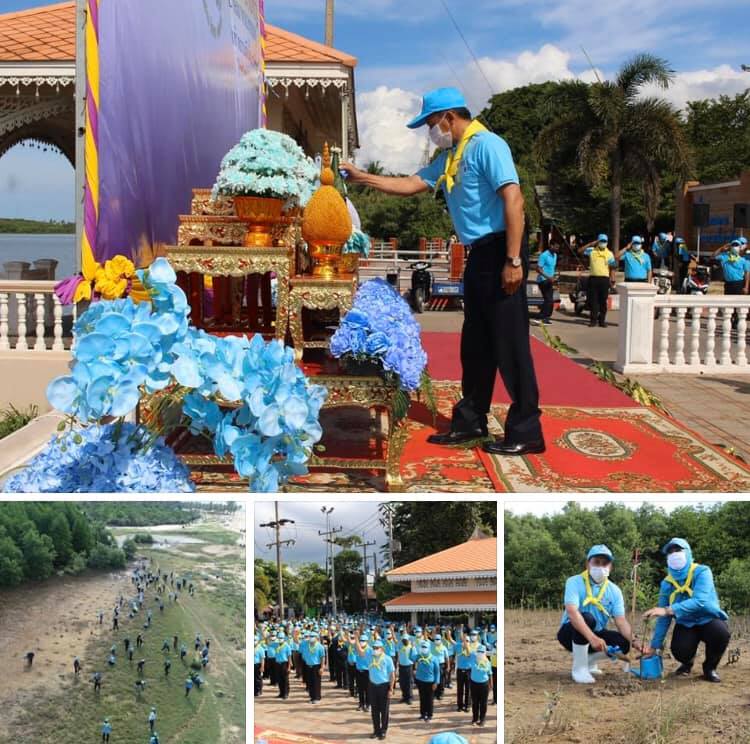 จิตอาสานราธิวาส จัดปลูกป่าชายเลนเฉลิมพระเกียรติ