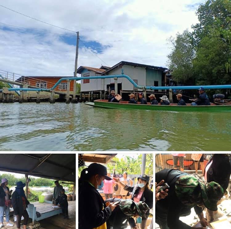 สำรวจเสริมพื้นที่ป่าชายเลนบางขุนเทียน สู้ภัยโควิด