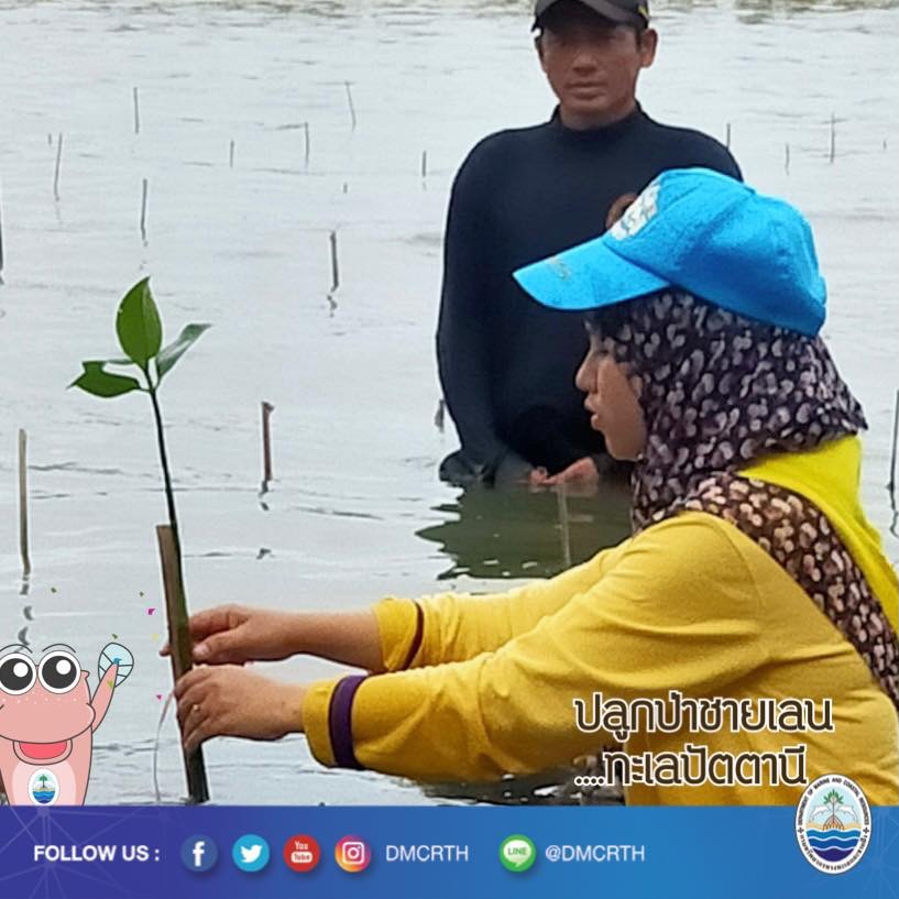 สวัสดี พี่น้องเครือข่ายอนุรักษ์ทะเลไทย