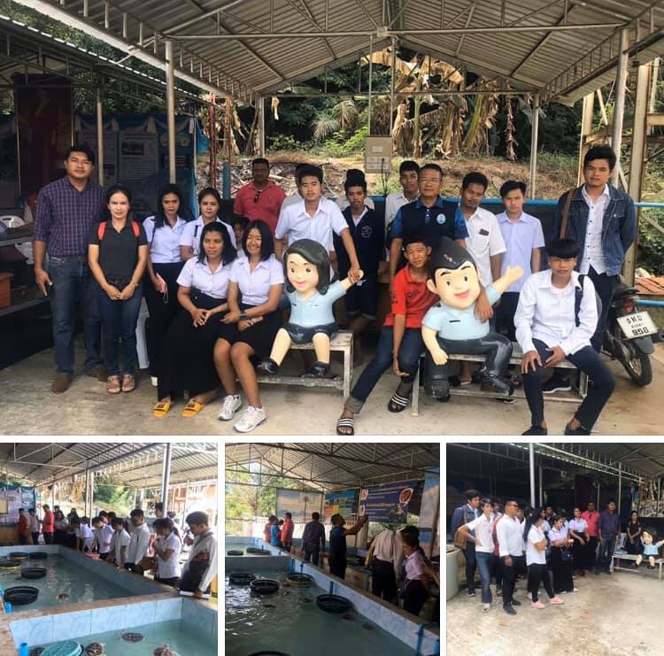 เรียนรู้จากประสบการณ์จริง รักทะเลรักเต่าทะเลรักษ์โลก