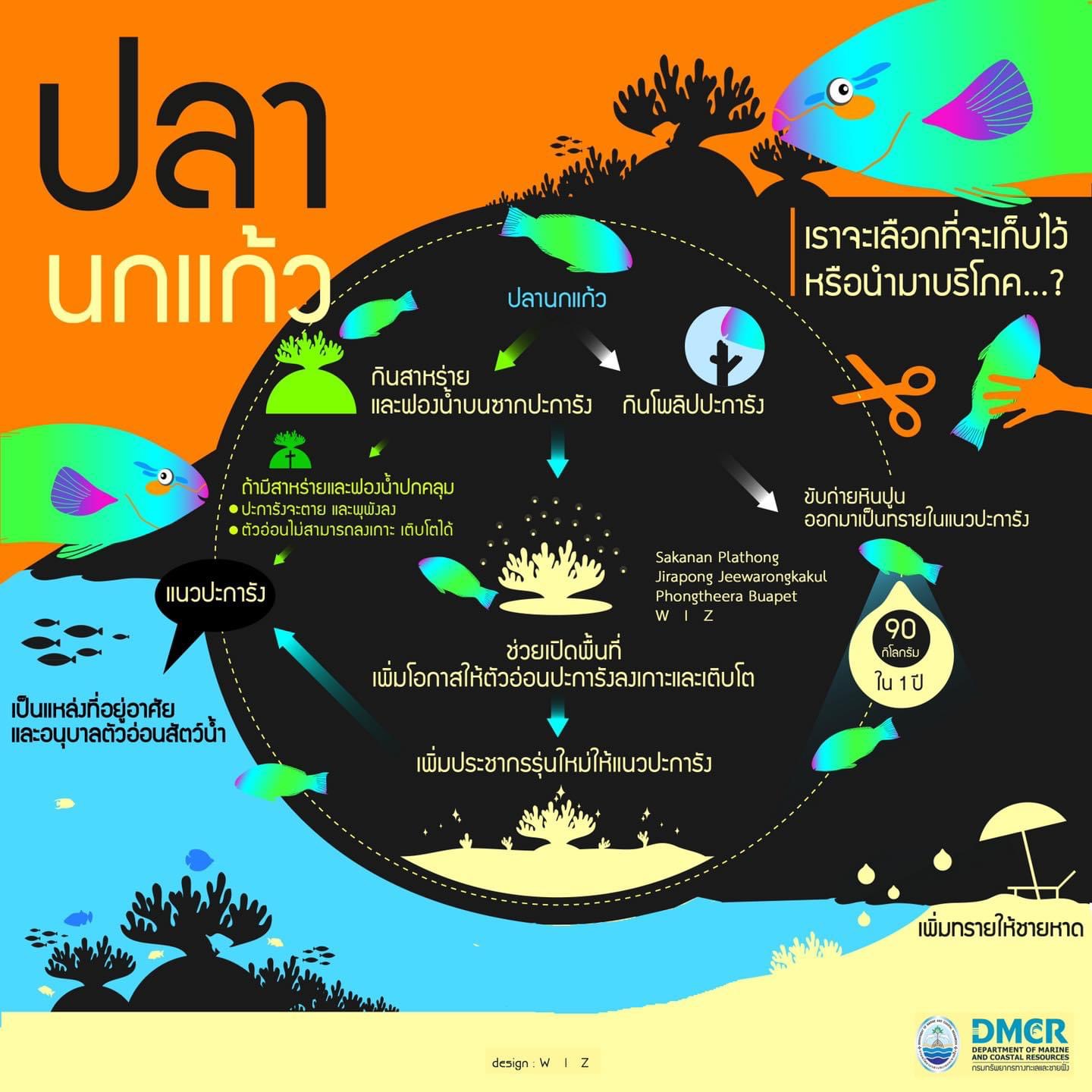 สวัสดี พี่น้องเครือข่ายอนุรักษ์ทะเลไทย