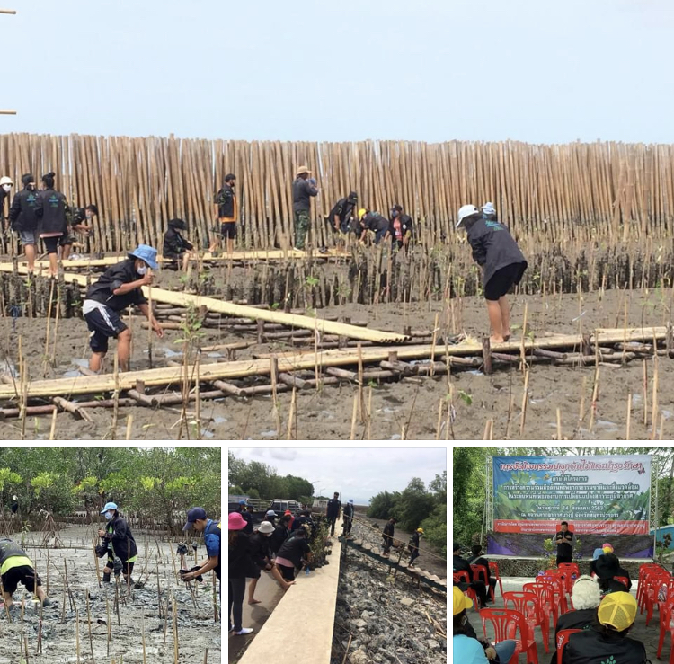บูรณาการ ฟื้นฟูทรัพยากรธรรมชาติและสิ่งแวดล้อม สมุทรปราการ