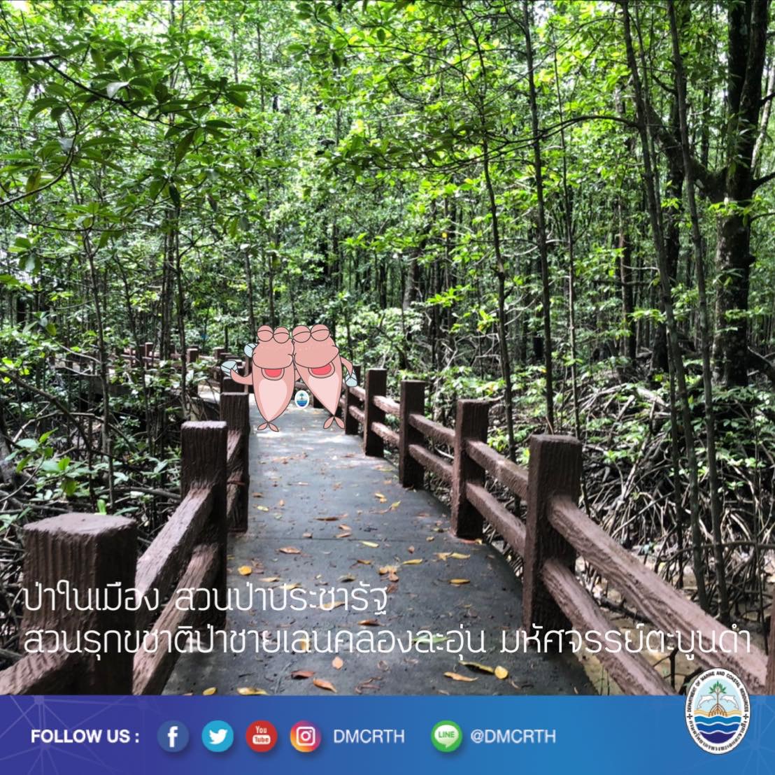 สวัสดี พี่น้องเครือข่ายอนุรักษ์ทะเลไทย