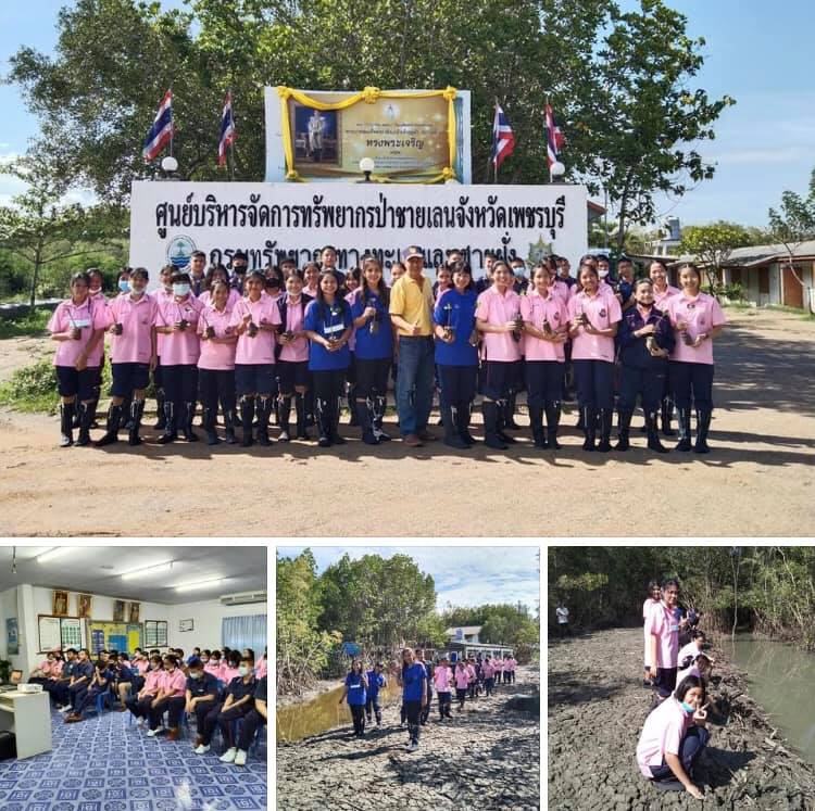น้องๆ พรหมานุสรณ์ เพชรบุรี เรียนรู้การอนุรักษ์ระบบนิเวศชายฝั่ง