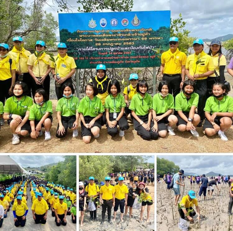 ร่วมกันมาปลูกป่าชายเลนเฉลิมพระเกียรติฯ ภูเก็ต