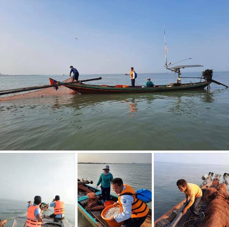 กลุ่มเรือประมงปิดล้อมการจับกุมประมงผิดกฎหมาย อ่าวบ้านดอน