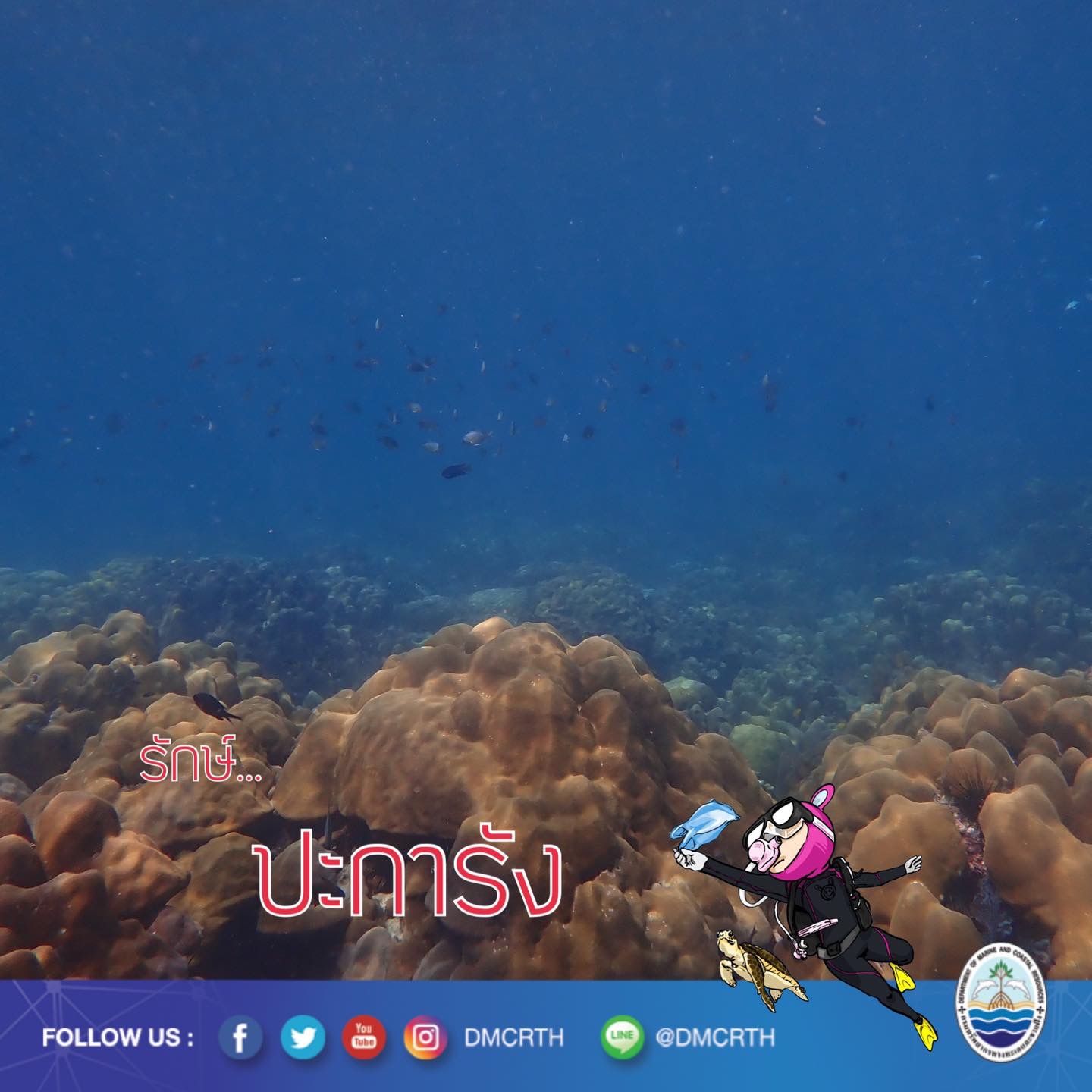 สวัสดี พี่น้องเครือข่ายอนุรักษ์ทะเลไทย