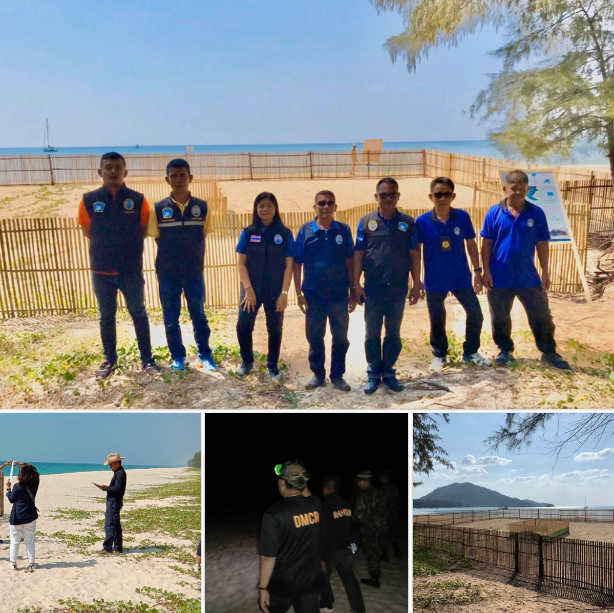 หลุมไข่ปลอดภัยดี ลุ้นลูกเต่าฟักรังแรกที่หาดท้ายเหมือง