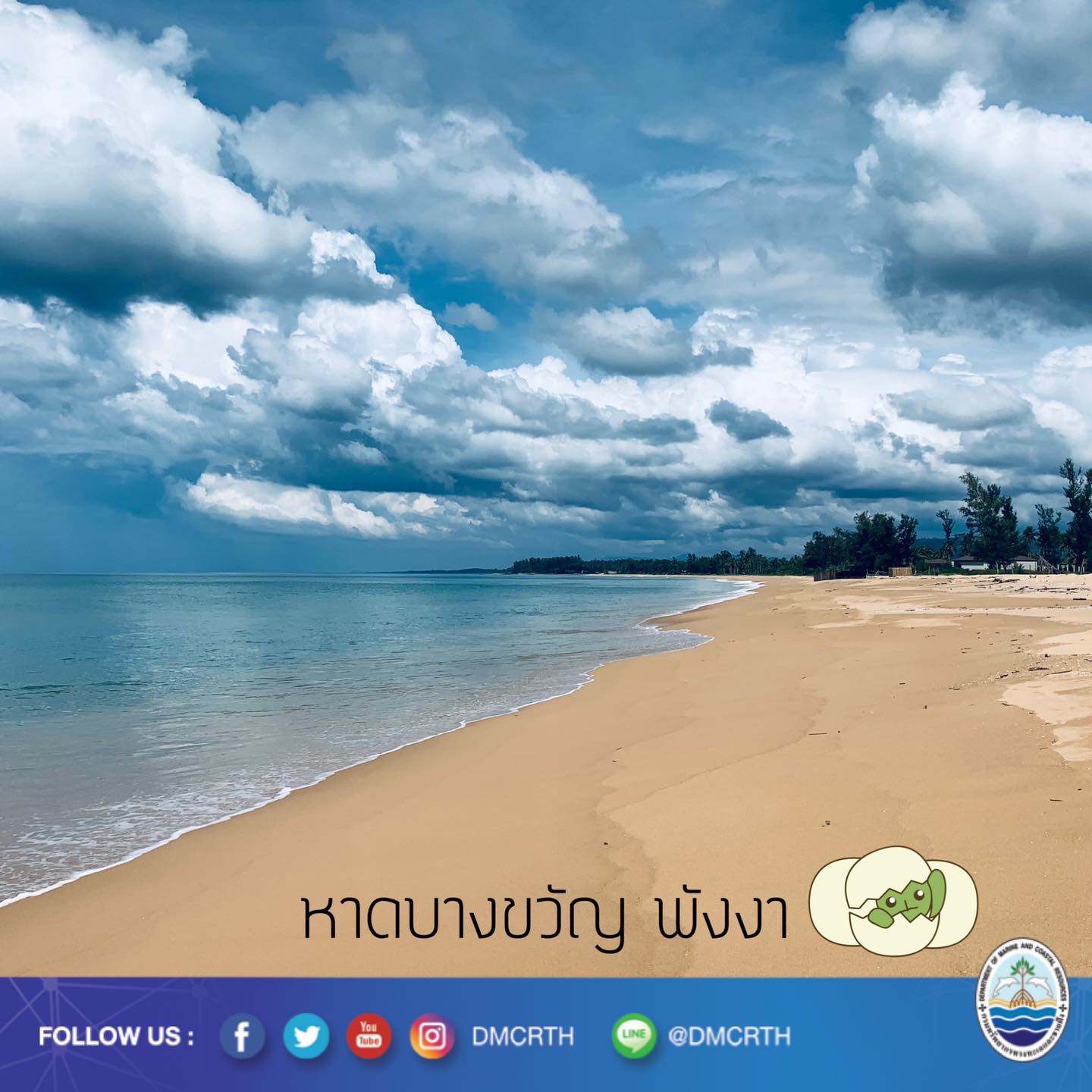 สวัสดี พี่น้องเครือข่ายอนุรักษ์ทะเลไทย