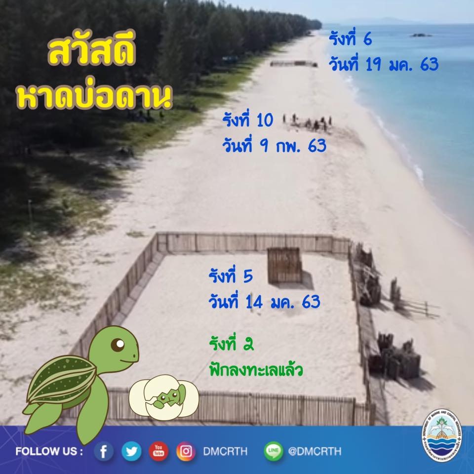 สวัสดี พี่น้องเครือข่ายอนุรักษ์ทะเลไทย