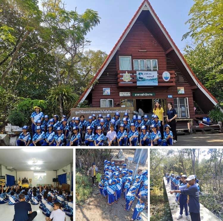ให้ความรู้ระบบนิเวศป่าชายเลน น้องๆ วัดราษฎร์รังสรรค์