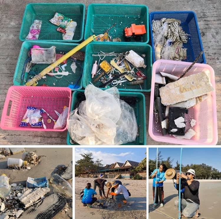 เก็บตัวอย่างขยะทะเล ชายหาดแหลมแม่พิมพ์ ระยอง