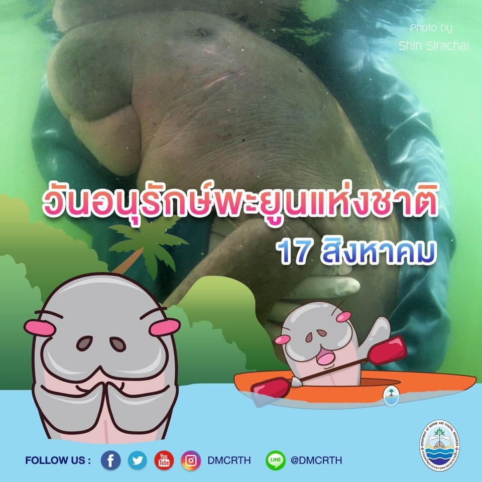 สวัสดี พี่น้องเครือข่ายอนุรักษ์ทะเลไทย