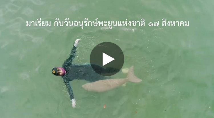มาเรียม กับวันอนุรักษ์พะยูนแห่งชาติ ๑๗ สิงหาคม