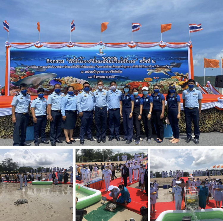 รักษ์ปะการังและสิ่งมีชีวิตใต้ทะเล หาดเตยงาม