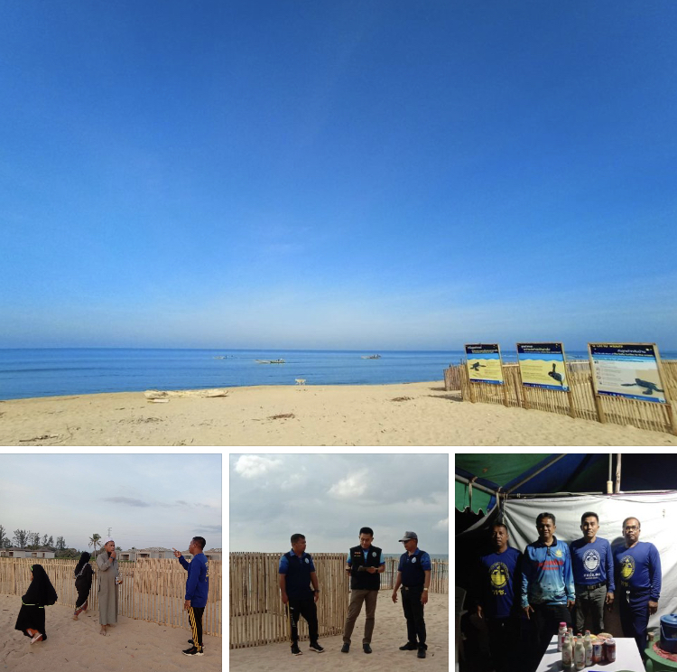 หาดบางขวัญ บรรยากาศดียังไม่พบแม่เต่าขึ้นวางไข่เพิ่ม