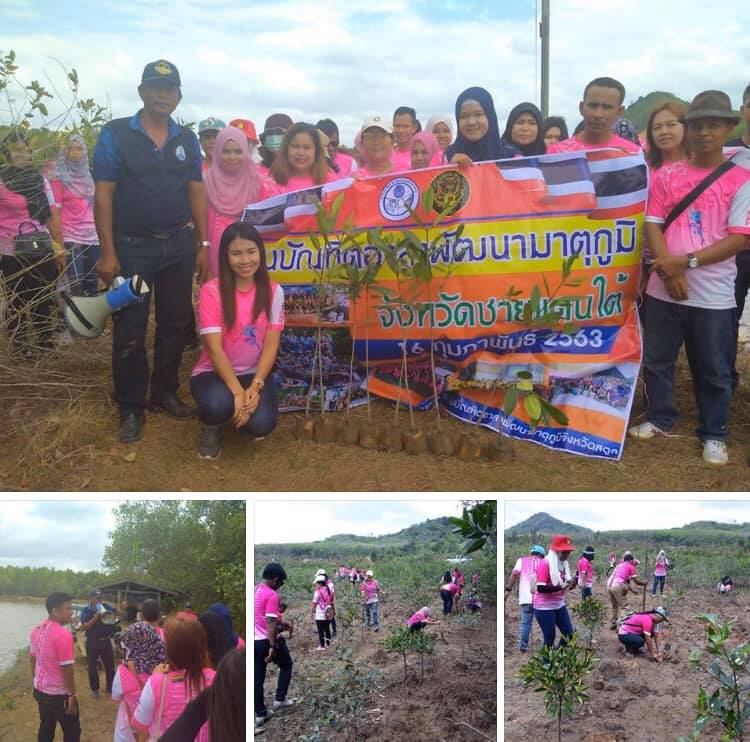 อาสาพัฒนามาตุภูมิชายแดนใต้ร่วมปลูกป่าชายเลนสตูล