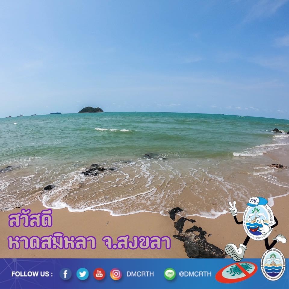 สวัสดี พี่น้องเครือข่ายอนุรักษ์ทะเลไทย