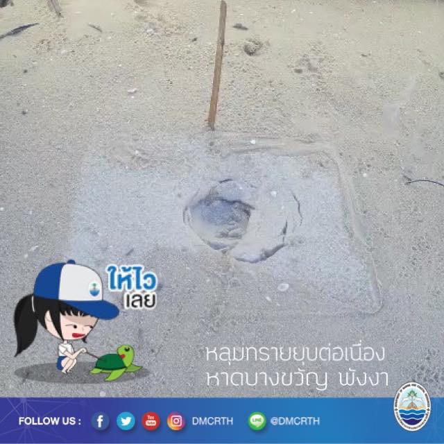 หลุมไข่หาดบางขวัญยุบต่อเนื่อง คาดคืนนี้เห็นหน้ากันแน่นอน
