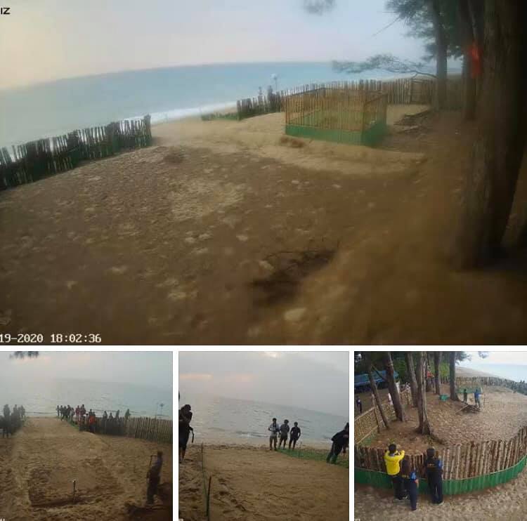 เคลียร์ทาง พร้อมเจอหน้าลูกเต่ามะเฟืองหาดท้ายเหมือง