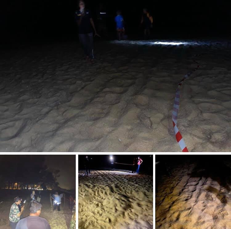 เกือบเฮ พบรอยแม่เต่ามะเฟืองขึ้นวางไข่อีกที่หาดไม้ขาว