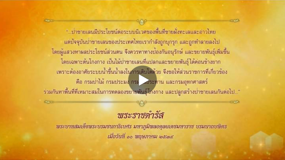 เที่ยงวัน วันละคลิป สารคดี ทรงสืบสาน รักษา ต่อยอด วันป่าชายเลนแห่งชาติ