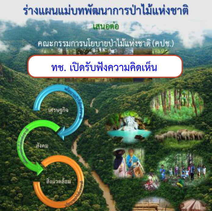 ขอเชิญร่วมร่างนโยบายป่าไม้ และแผนพัฒนาการป่าไม้แห่งชาติ