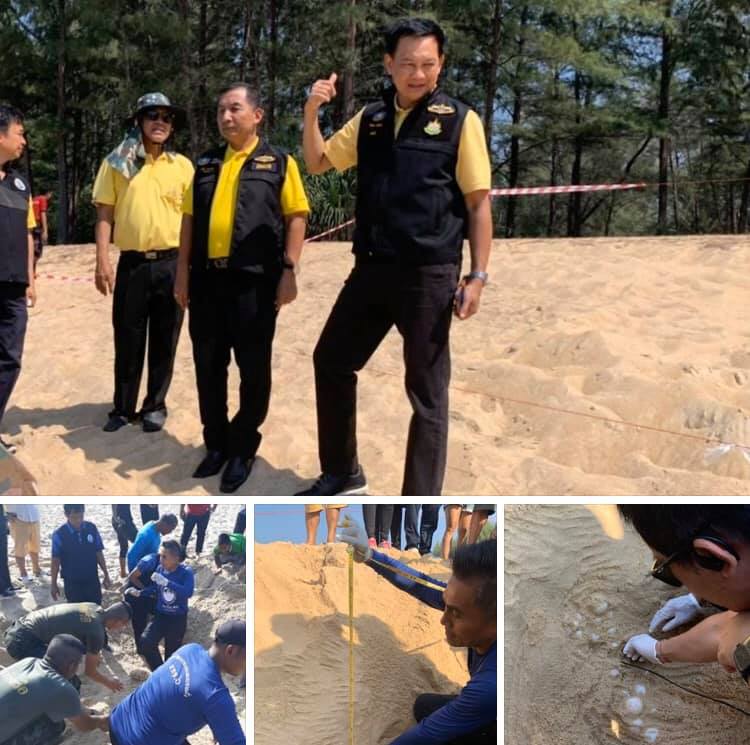 อธิบดี ทช. นำตรวจสอบร่องรอยเต่ามะเฟืองขึ้นวางไข่หาดทรายแก้ว ภูเก็ต