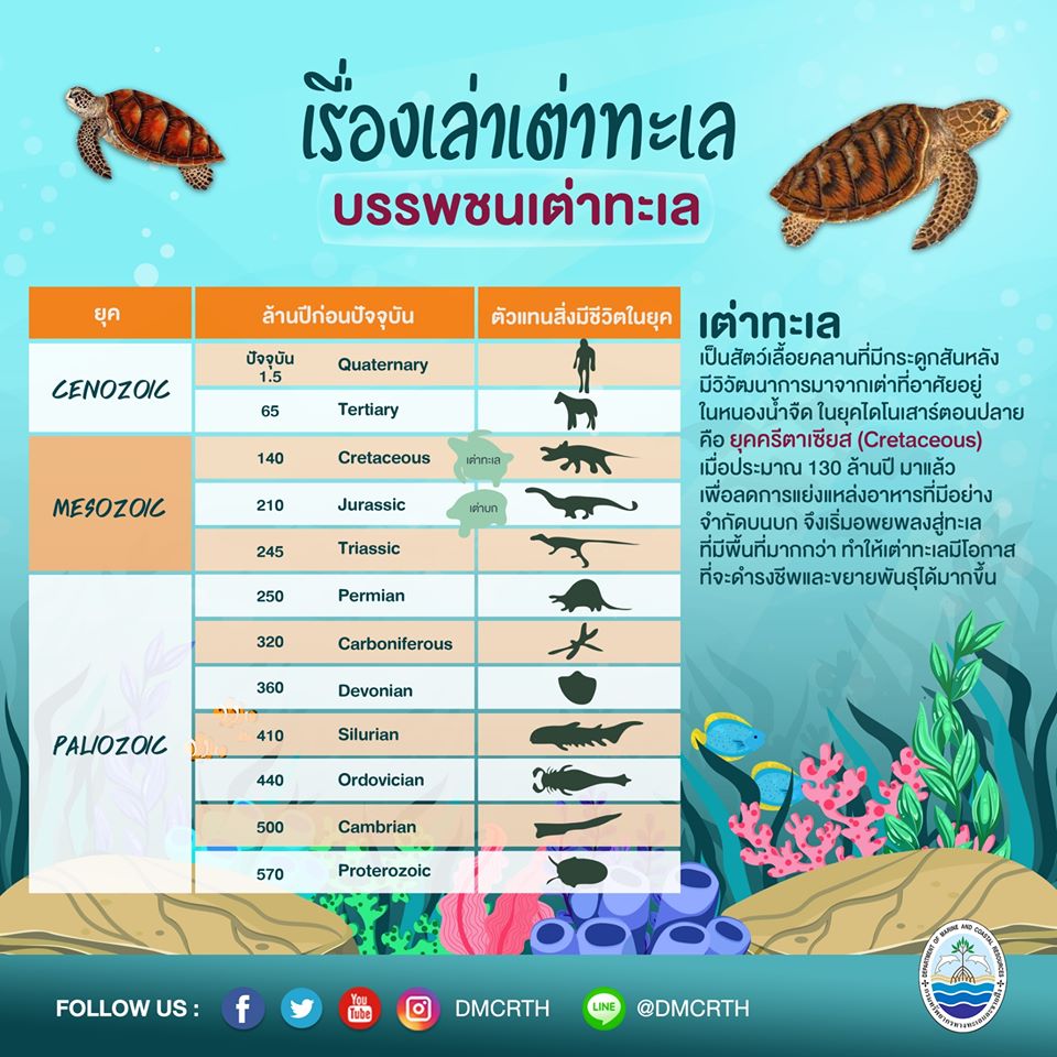 ช่วงนี้อยู่บ้าน ทช. ชวนเรียนรู้เรื่องเล่าเต่าทะเลตอนที่ ๑