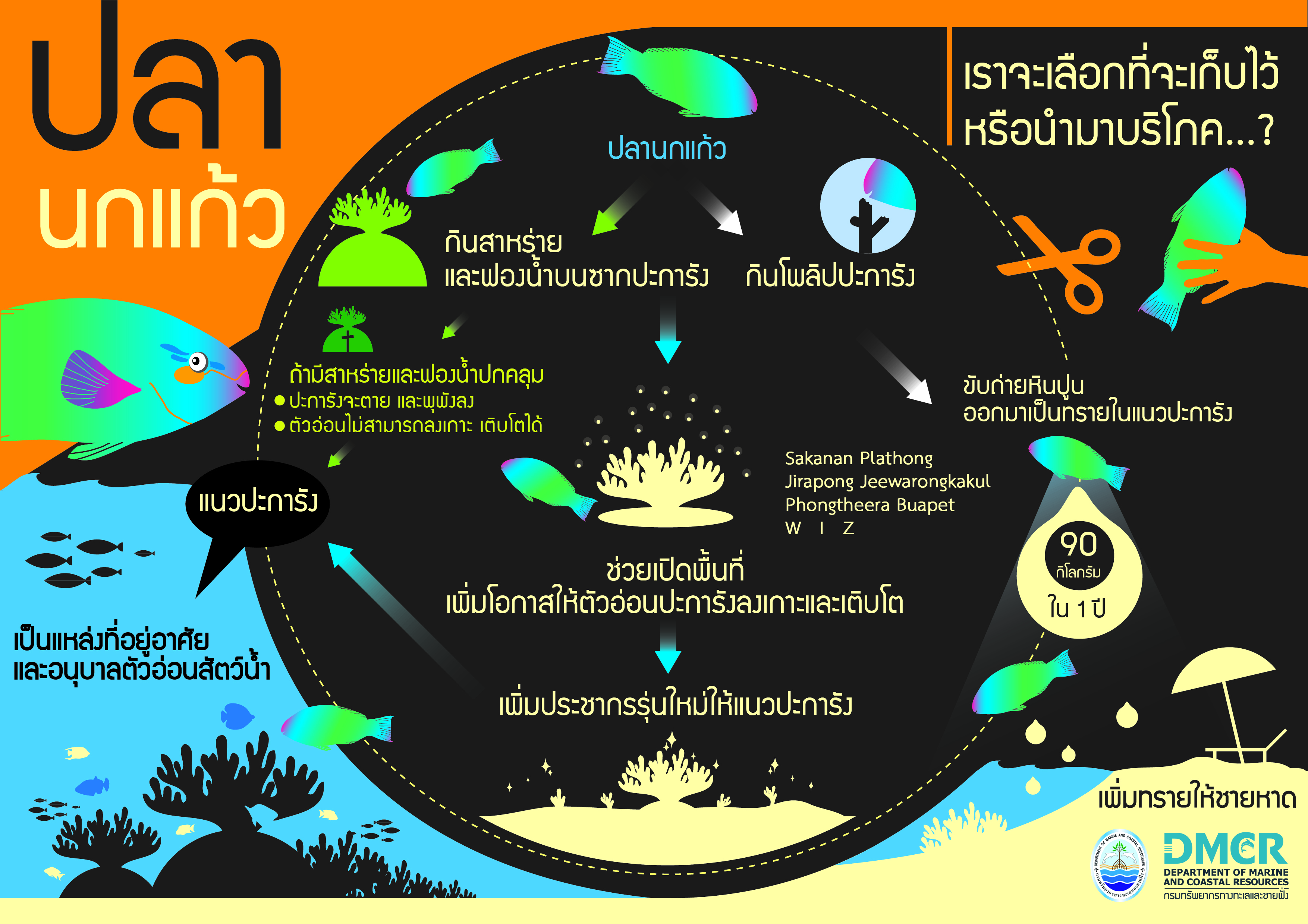 วงจรของปลานกแก้ว