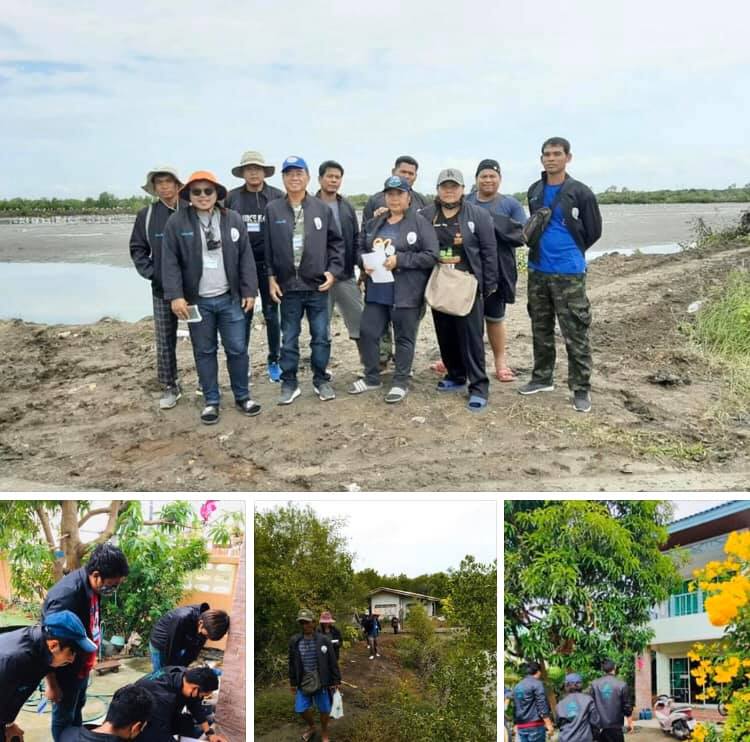 สำรวจเสริมพื้นที่ป่าชายเลนบางขุนเทียน สู้ภัยโควิด