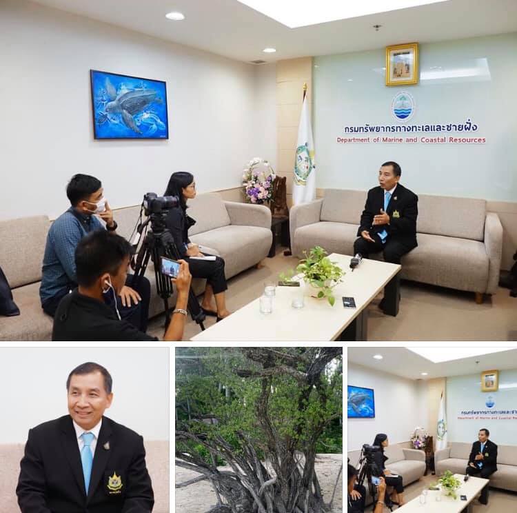 กรมทะเล รุกคุมเข้มมาตรการคุ้มครองต้นเทียนทะเล