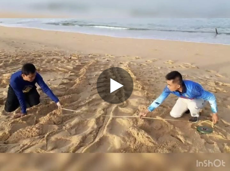 เฮต่อเนื่อง แม่เต่ามะเฟืองมาเยือนหาดบางขวัญรอบที่ ๔