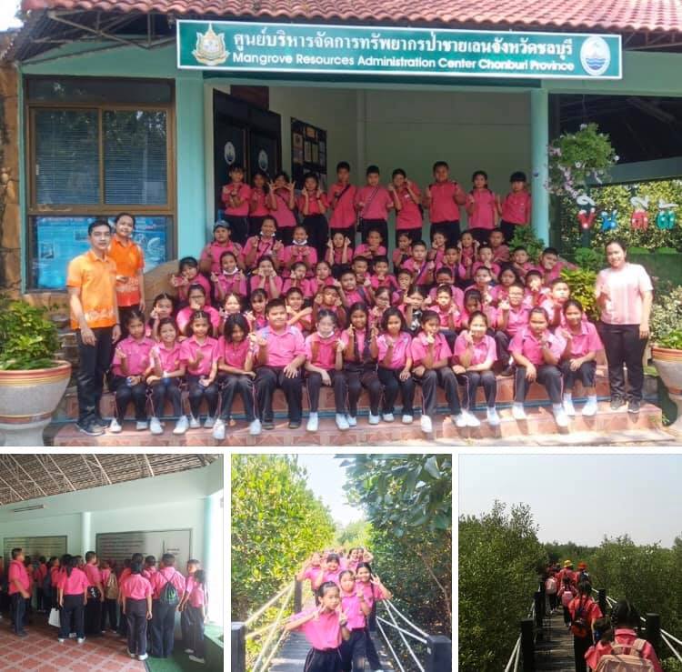 น้องๆ มาเยือน พี่ๆ ก็ดีใจ ร่วมกันอนุรักษ์ป่าชายเลนชลบุรี